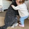 Tosca : Hundesitter mit Kleinkind und Hundeerfahrung