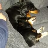 Luzie und Maja  avatar