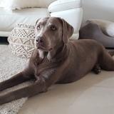 Emma avatar