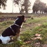 Timothy („Timmy“) avatar