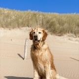 Milow avatar