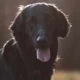 Moritz avatar