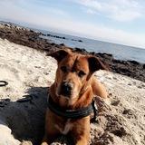 Lola avatar