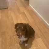 Kingsley Keks avatar