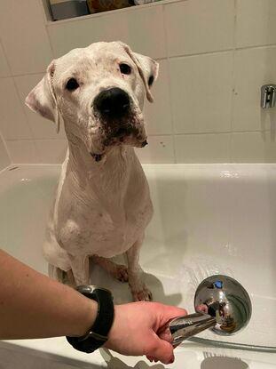 Baden findet sie klasse und springt auch alleine in die Wanne :)