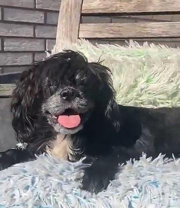 Lucy