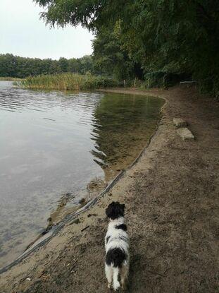 Grunewaldsee