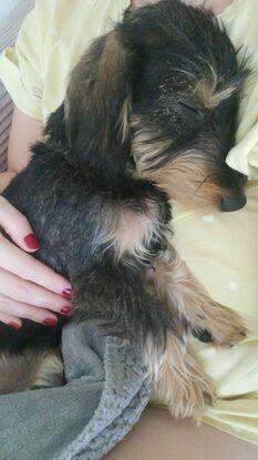 Kuscheln
