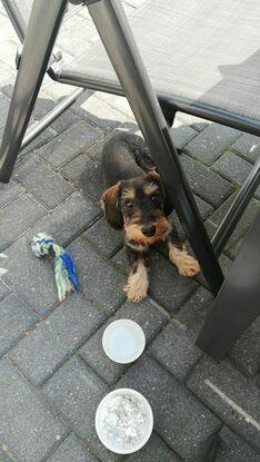 *liebguck*