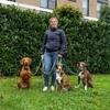 Stephanie: Familiäre Hundebetreuung