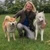 Martin: Seelenhund Betreuung