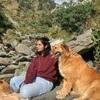 Theertha: Paw-sitively taking care of your pets