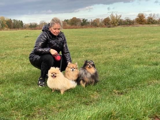 Mit 2 Gasthunden auf großer Hundewiese