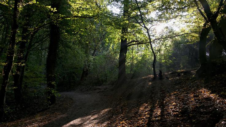 Bolmke Naturschutzgebiet 