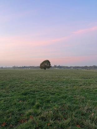 Tempelhofer Feld (10min from my place)