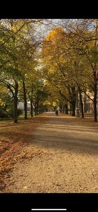 Park hier in der Nähe