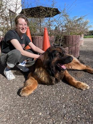 Leo der Leonberger, ein besonders großes Baby