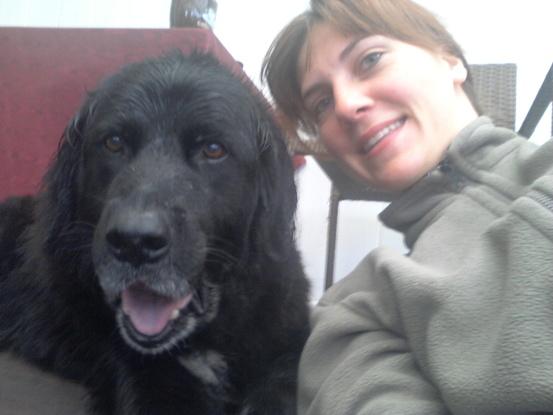 Sheriff, Hund der Vermieter, frisch gebadet