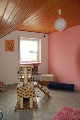 Das Katzenzimmer!