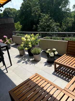 Balkon und direkter Zugang zum Wald