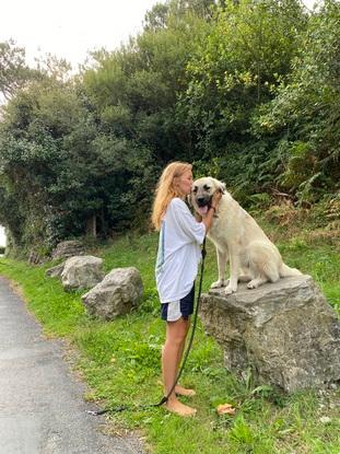 Am Wandern in den Bergen