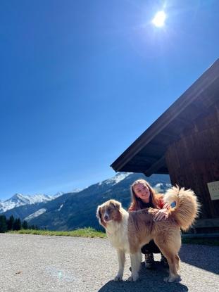 Der Hund meiner Tante 🤗