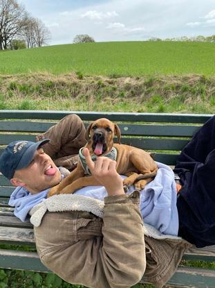 Unser Nachbarshund
