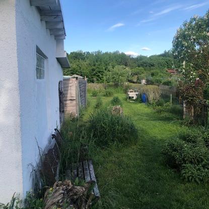 Längsansicht des Gartens