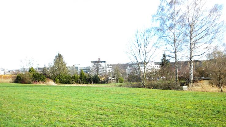 Große wiese mit viel Platz 