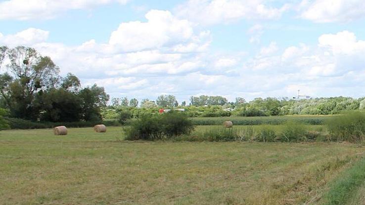 Feld Weg 