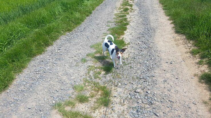 Endlich Gassi Runde:-)