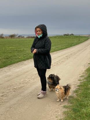 Große gassirunde mit Louis und Gasthund Yoshi