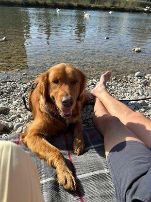 Isar