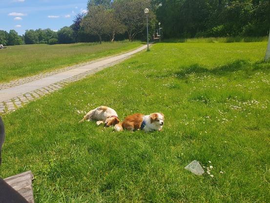 Überall tolle Anlaufstellen