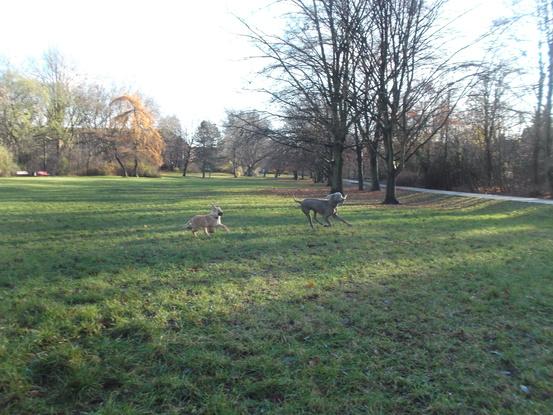 Spielen im Bäkepark