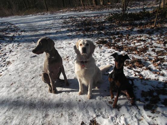 Winterspaziergang