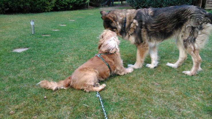 Benni und Kira