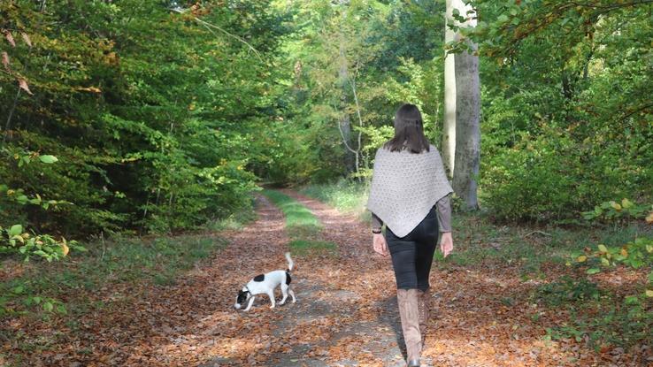 Spaziergang 🐶🌾🌲