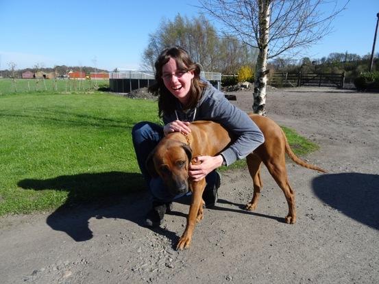 Hier kümmere ich mich um die liebe Rhodesian Ridgeback-Hündin Stella.