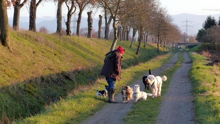 Gassirunde mit Gäseten