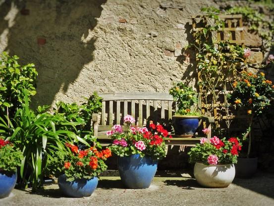 Der Weg zum Garten