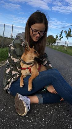 Gassi gehen mit dem Nachbarshund