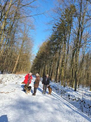 Spazieren im Schnee mit Freunden