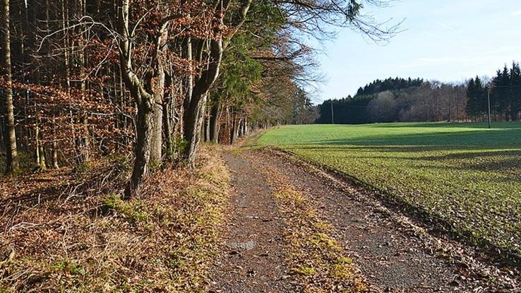 Einer der Wanderwege