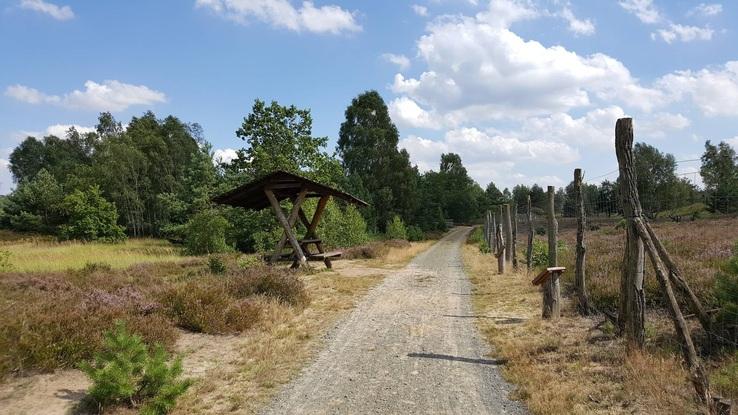 Großer Park in meiner Nähe