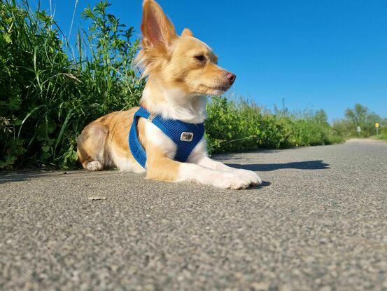 Unser Feld zum toben ist ganz in der Nähe.