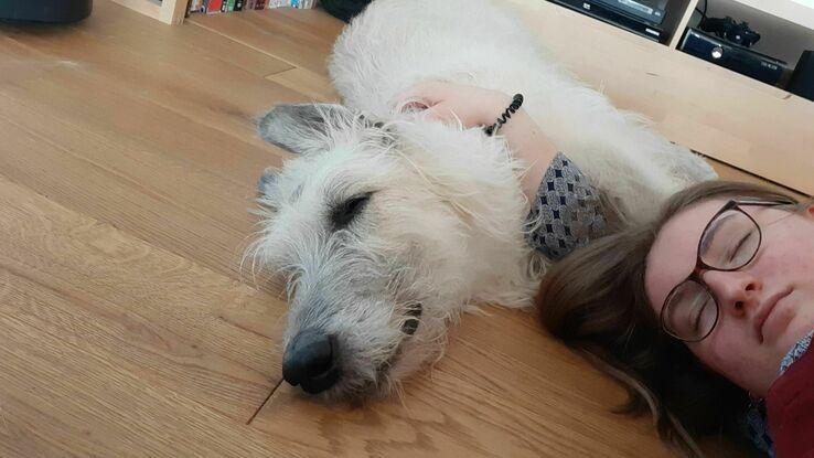 Kuscheln mit dem Familienhund