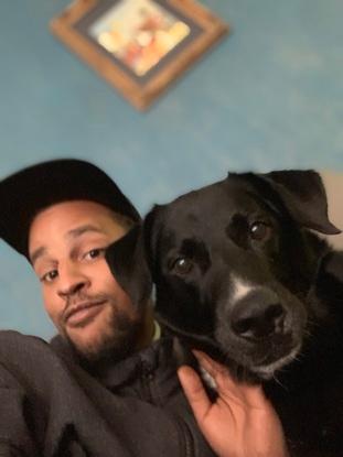 Joe (Labrador Bernersennenhund & ich