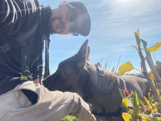 Tara (Malinois)