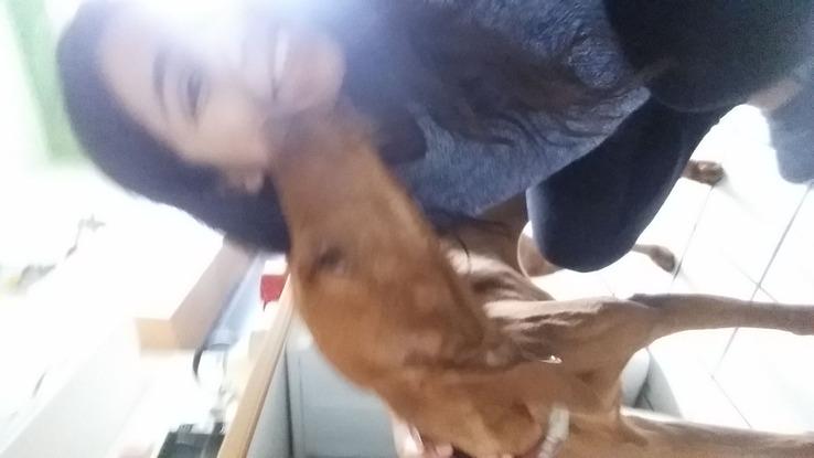 Hunde-Kuss 
